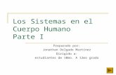 Sistemas del cuerpo humano 2 (4)