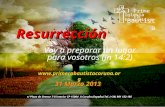 310313 a.mendez resurreccion_jn 14_2