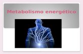 Metabolismo energético (1)