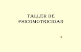 TALLER DE PSICOMOTRICIDAD