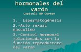 Funciones reproductoras y hormonales del varón