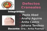 Defectos craneales - Embrio