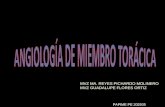 Angiologia de miembro torácico