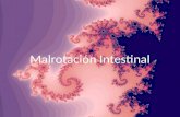 Malrotacion intestinal cirugia pediatrica