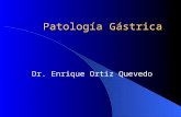 Patología gástrica