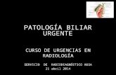 Curso de urgencias: Patología biliar aguda