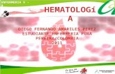 Presentacion de Hematología