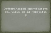 Determinación cuantitativa del virus de la hepatitis b