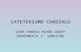 Cateterismo cardiaco 2
