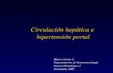 Clase12 11 circulacion hepatica mpuc