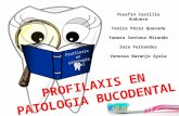 Profilaxis en patología dental
