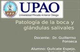 Patologia de la cavidad oral y glándulas salivales. German Quilcate. Dr Fonseca