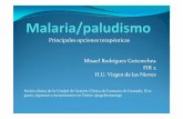 Principales tratamientos de la malaria-paludismo