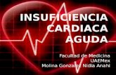 Insuficiencia cardiaca aguda