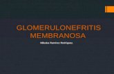 Glomerulonefritis membranosa
