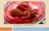 Control prenatal