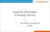 Ictericia neonatal: enfoque clínico