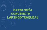 Patologia laringotraqueal
