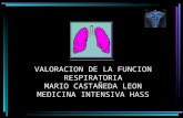 Fisiologia de la funcion respiratoria lobitoferoz13