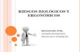 Biologicos y ergonomicos
