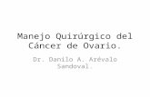 Manejo quirúrgico del cáncer de ovario