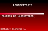 Labde leucocitosis
