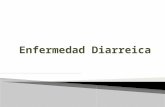 Enfermedad diarreica