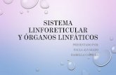 Sistema Linforeticular y órganos linfáticos