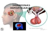 Hormonas Hipofisiarias