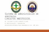 Circuitos anestesicos; sistema de administracion de anestesia