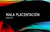 Mala placentación