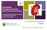 Resultados Perioperatorios de Nefrectomia parciales en Panamá