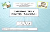 Amigdalitis y rinitis (agudas)
