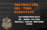 Obstrucción del tubo digestivo