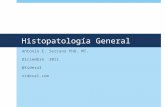 Curso Histologia 21 Conceptos en Histopatologia