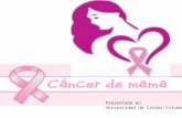 CANCER DE MAMA. Patologia