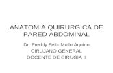 2. anatomia quirurgica de abdomen