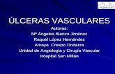 Ulceras vasculares