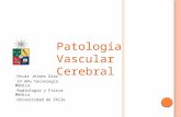 Patologías vasculares