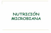 Tema 2 9_nutricion_microbiana