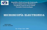 Microcopia Electronica
