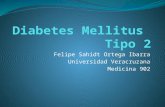 Diabetes Mellitus tipo 2