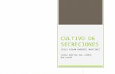 Cultivo de-secreciones-02