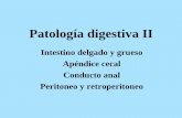11 tp patología digestiva ii