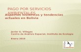 Pagos por Servicios Ambientales - Aspectos históricos y tendencias actuales en Bolivia
