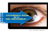 Cisticercosis ocular, una revisión de la literatura para profesionales de la salud