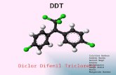 Contaminació amb DDT