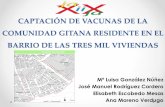 Captación de vacunas de la comunidad gitana residente en el barrio de las tres mil viviendas
