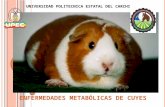 Cuyes enf metabolicas zootecnia,pptx