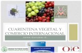 Cuarentena vegetal y comercio internacional